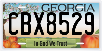 GA license plate CBX8529