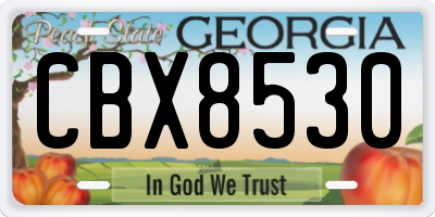 GA license plate CBX8530