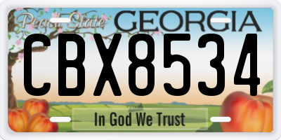 GA license plate CBX8534
