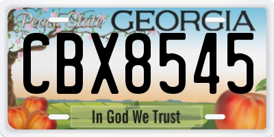 GA license plate CBX8545