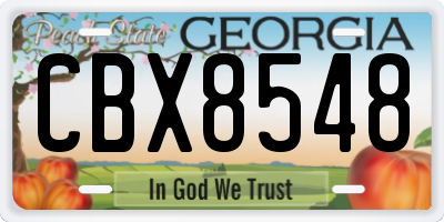 GA license plate CBX8548