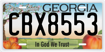 GA license plate CBX8553