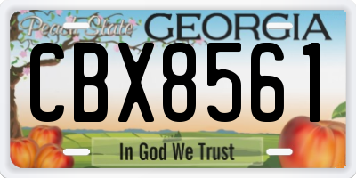 GA license plate CBX8561