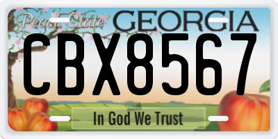 GA license plate CBX8567