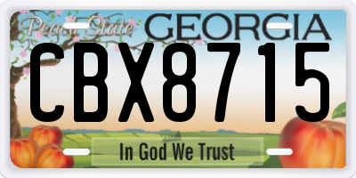 GA license plate CBX8715
