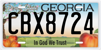 GA license plate CBX8724