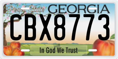 GA license plate CBX8773