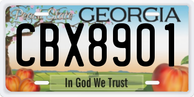 GA license plate CBX8901