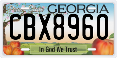 GA license plate CBX8960