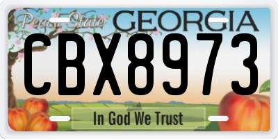 GA license plate CBX8973
