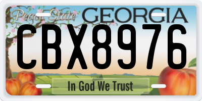 GA license plate CBX8976