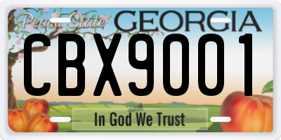 GA license plate CBX9001
