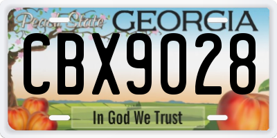 GA license plate CBX9028