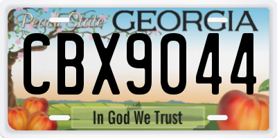 GA license plate CBX9044