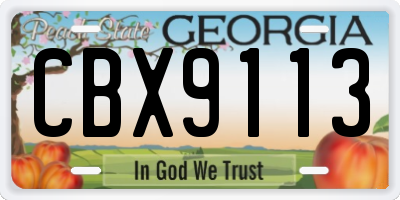 GA license plate CBX9113