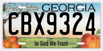 GA license plate CBX9324