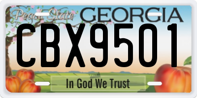 GA license plate CBX9501