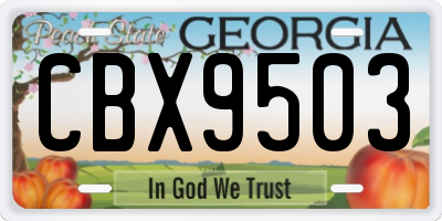 GA license plate CBX9503