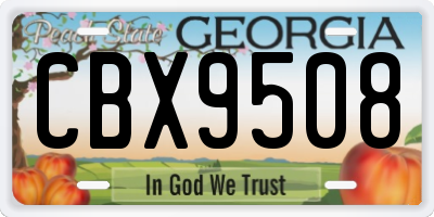 GA license plate CBX9508