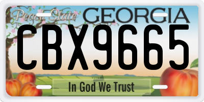 GA license plate CBX9665