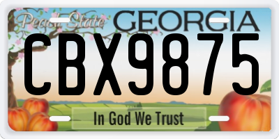 GA license plate CBX9875