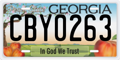 GA license plate CBY0263