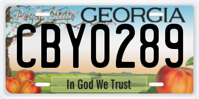 GA license plate CBY0289