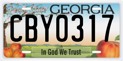 GA license plate CBY0317
