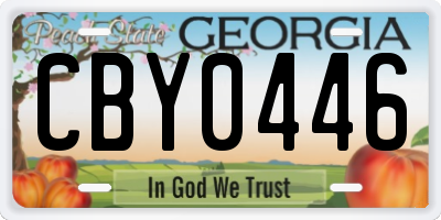 GA license plate CBY0446