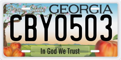 GA license plate CBY0503