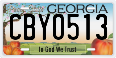 GA license plate CBY0513