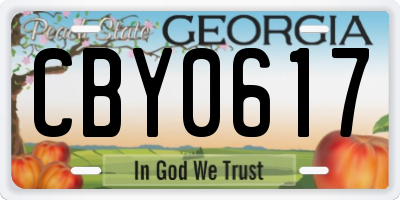 GA license plate CBY0617
