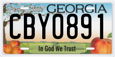 GA license plate CBY0891