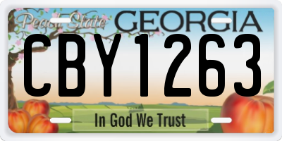 GA license plate CBY1263