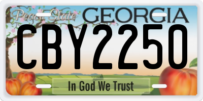 GA license plate CBY2250