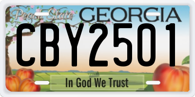 GA license plate CBY2501