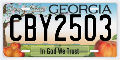 GA license plate CBY2503
