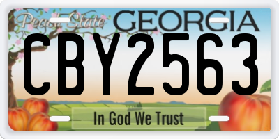 GA license plate CBY2563