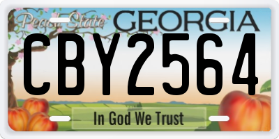 GA license plate CBY2564