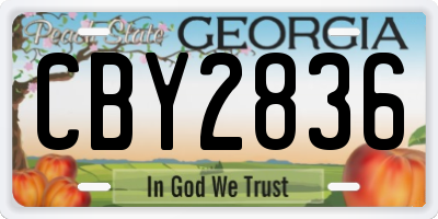 GA license plate CBY2836