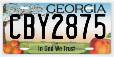 GA license plate CBY2875