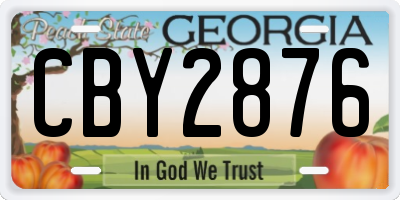 GA license plate CBY2876
