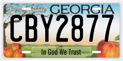 GA license plate CBY2877