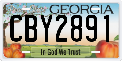 GA license plate CBY2891