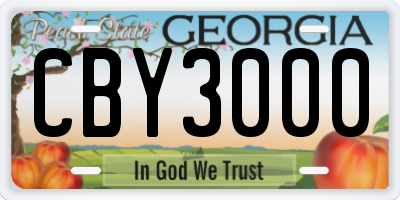 GA license plate CBY3000