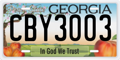GA license plate CBY3003