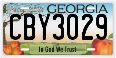 GA license plate CBY3029