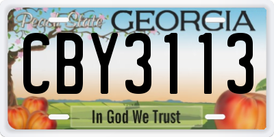 GA license plate CBY3113