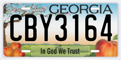 GA license plate CBY3164