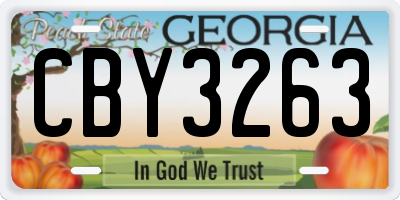 GA license plate CBY3263